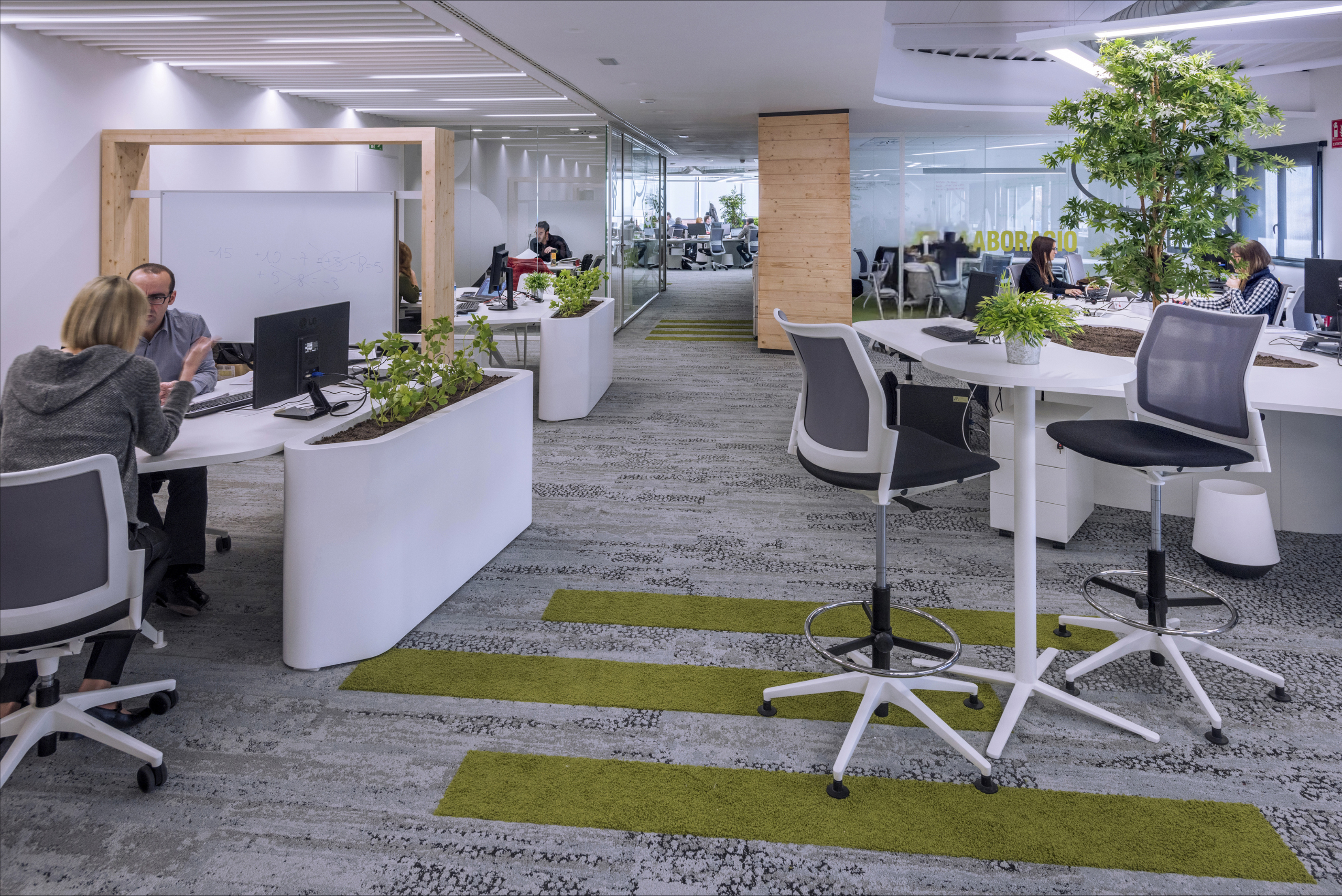 imagen decorativa