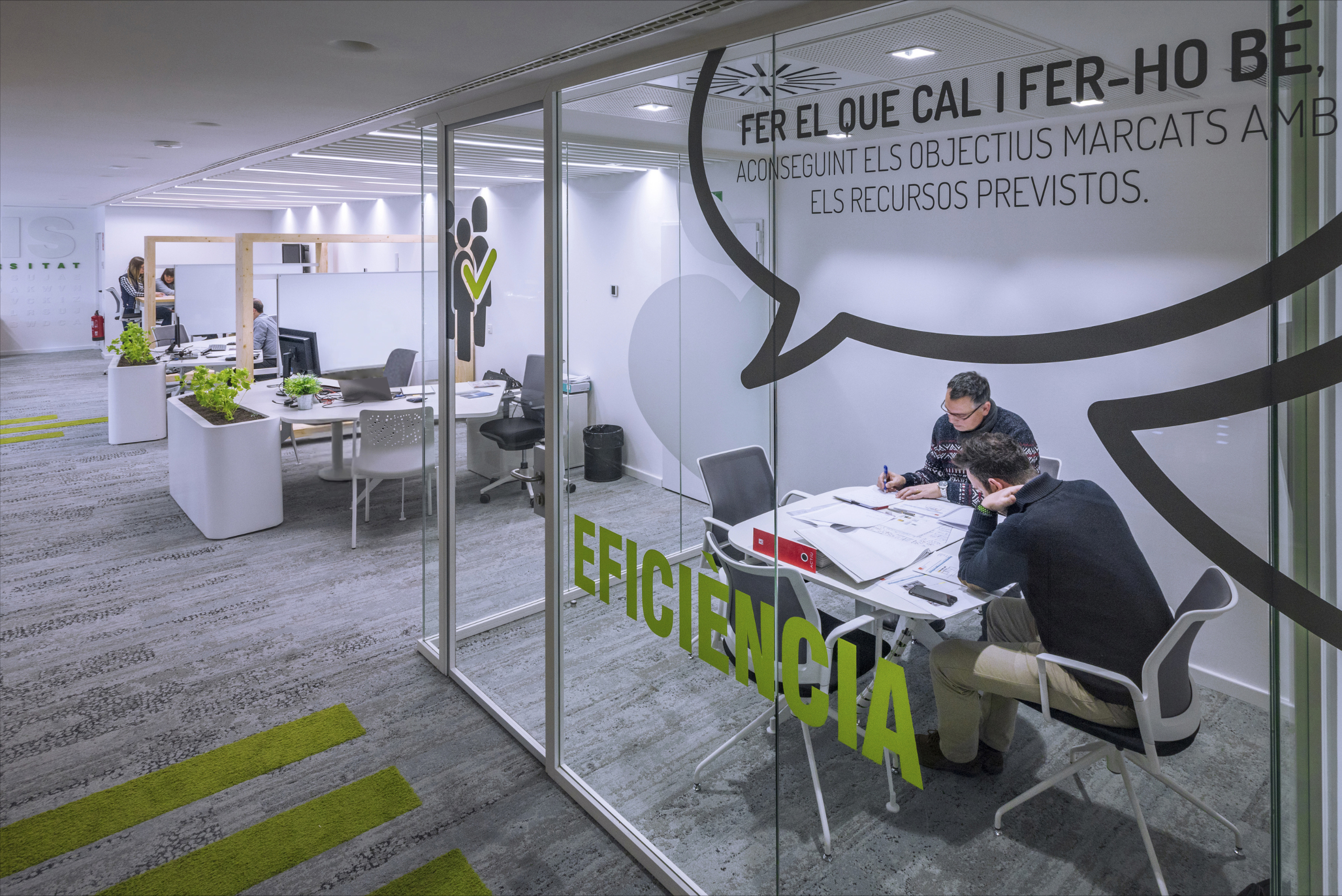 imagen decorativa